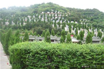 植树葬